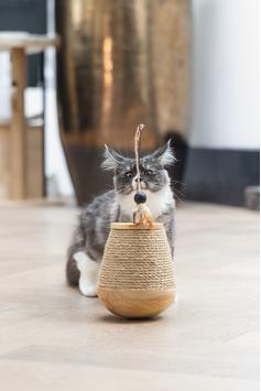 Designed by Lotte Mae Tumble Katteleke - 15cm (51-440720)