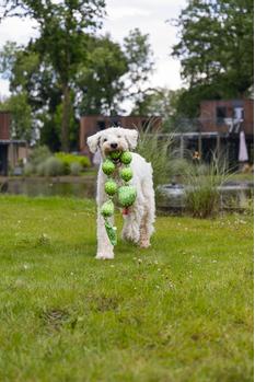 Hundeleke Slange, Grønn - 80cm (51-617024)
