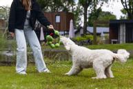 Hundeleke Slange, Grønn - 80cm (51-617024)