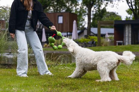 Hundeleke Slange, Grønn - 80cm (51-617024)