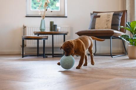 ECO Ball til Valp - Blå (51-619446-1500069114)