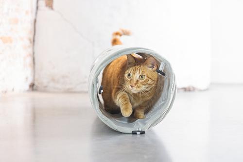 Designed by Lotte Tunnel til Katt i Ribbestoff,  Grå - 75cm (51-704781)