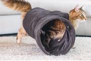 Designed by Lotte Tunnel til Katt i Ribbestoff,  Antrasitt - 75cm (51-704783)
