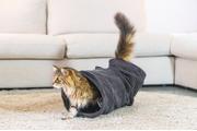 Designed by Lotte Tunnel til Katt i Ribbestoff,  Antrasitt - 75cm (51-704783)