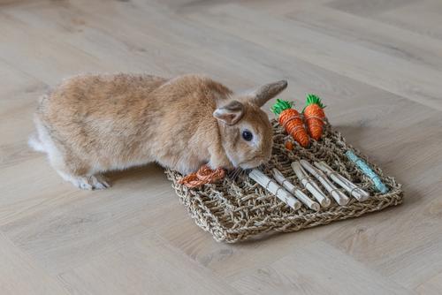 Nature Playmat til Smådyr - 30,5cm (51-811182)