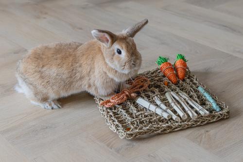 Nature Playmat til Smådyr - 30,5cm (51-811182)
