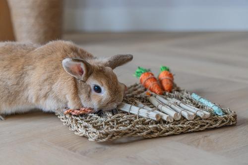 Nature Playmat til Smådyr - 30,5cm (51-811182)