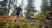 Non-stop Trail Light Hundedekken - Grå (44-2770-1500015670)