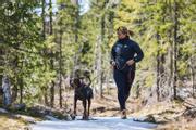 Non-stop Trail Light Hundedekken - Grå (44-2770-1500015670)