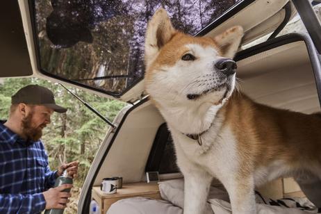 Hurtta Casual Halsbånd, ECO - Brun (16-H934428-1500066931)