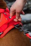 Hurtta Weekend Warrior Eco Sele - Rød (16-H933434-1500028562)