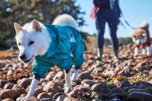 Hurtta Mudventure Overall Eco - Turkis (16-H934149)