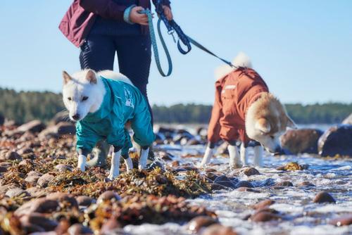 Hurtta Mudventure Overall Eco - Turkis (16-H934149)