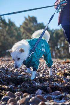 Hurtta Mudventure Overall Eco - Turkis (16-H934149)