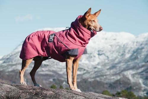 Hurtta Expedition Parka - Rosa (16-H933720)