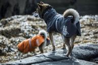 Hurtta Monsoon Regndekken - Svart (16-H933648-1500098958)