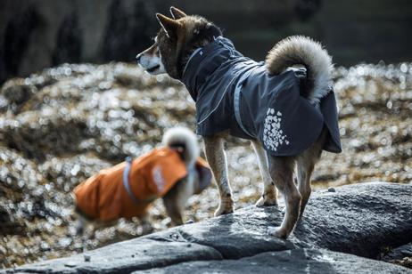 Hurtta Monsoon Regndekken - Svart (16-H933648-1500098958)