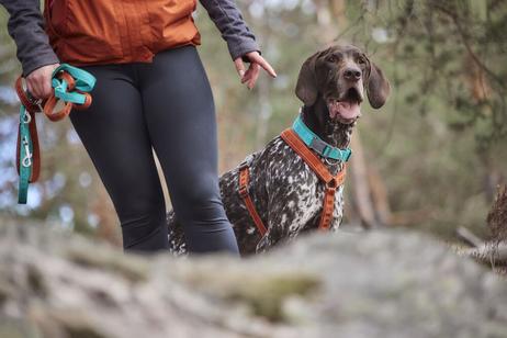 Hurtta Casual Kobbel ECO, Turkis - 1,8m/20mm (16-H934498)