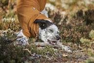 Hurtta Warming Midlayer ECO - Gul (16-H934527)