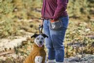 Hurtta Warming Midlayer ECO - Gul (16-H934527)