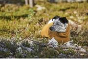 Hurtta Warming Midlayer ECO - Gul (16-H934532)