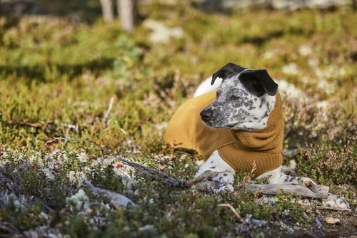 Hurtta Warming Midlayer ECO - Gul (16-H934529)