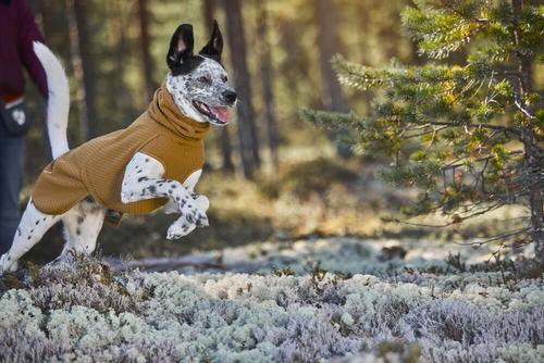 Hurtta Warming Midlayer ECO - Gul (16-H934529)