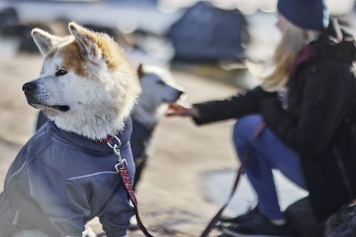 Hurtta Midlayer Overall (16-H934170)