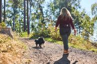 Non-stop Trekking 2.0 Løpebelte - Lilla (44-12231-1500084659)