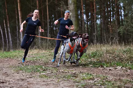 Non-stop CaniX Pro Løpebelte - M (44-1242)