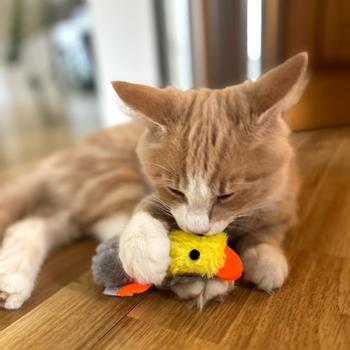 Plysj And Katteleke - 11cm (51-440368)