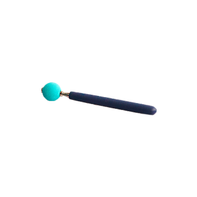 Coachi Coachi Target Stick