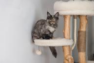 Designed by Lotte Vanja Klorestativ - 87,5cm (51-408887)