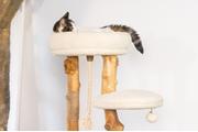 Designed by Lotte Vanja Klorestativ - 87,5cm (51-408887)