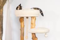 Designed by Lotte Vanja Klorestativ - 87,5cm (51-408887)