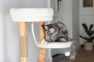 Designed by Lotte Vanja Klorestativ - 87,5cm (51-408887)