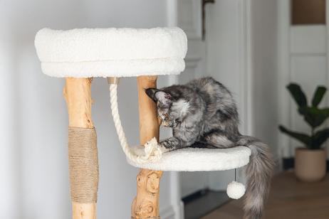 Designed by Lotte Vanja Klorestativ - 87,5cm (51-408887)