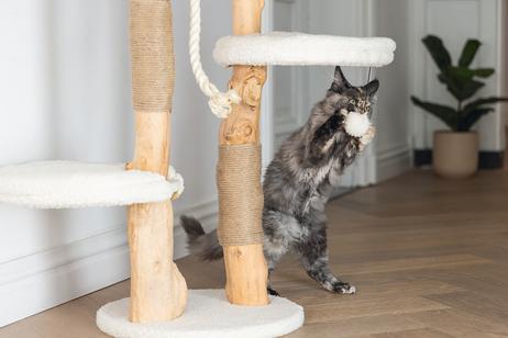 Designed by Lotte Vanja Klorestativ - 87,5cm (51-408887)