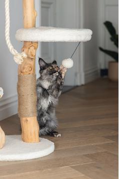 Designed by Lotte Vanja Klorestativ - 87,5cm (51-408887)