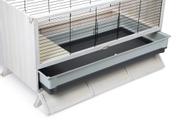 Kanin/ Gnagerbur,  Hvit - 120cm (51-266908)