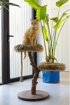 Designed by Lotte Aviva Klorestativ - 68cm (51-408865)