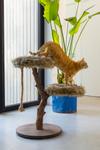 Designed by Lotte Aviva Klorestativ - 68cm (51-408865)