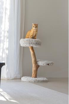 Designed by Lotte Zora Klorestativ,  Grå - 72cm (51-408882)