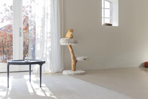 Designed by Lotte Zora Klorestativ,  Grå - 72cm (51-408882)