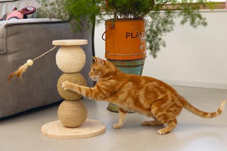 Designed by Lotte Elio Kloremøbel - 47,5cm (51-409146)