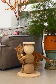 Designed by Lotte Elio Kloremøbel - 47,5cm (51-409146)