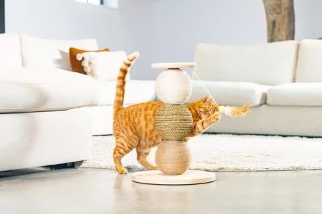 Designed by Lotte Elio Kloremøbel - 47,5cm (51-409146)