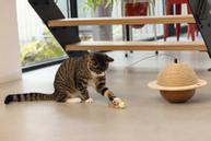 Designed by Lotte Wiggly Kloremøbel - 20cm (51-409147)