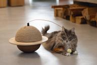 Designed by Lotte Wiggly Kloremøbel - 20cm (51-409147)