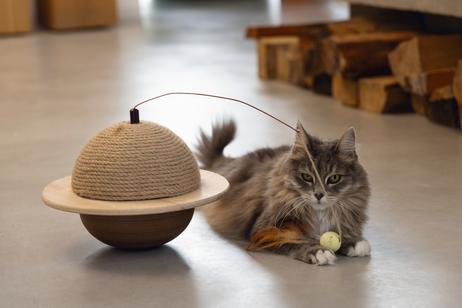 Designed by Lotte Wiggly Kloremøbel - 20cm (51-409147)